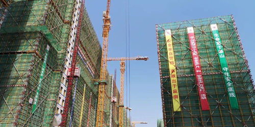 文明典范城市創建系列⑥ 聚焦場地設施經營，市住建局印發集中攻堅工作方案