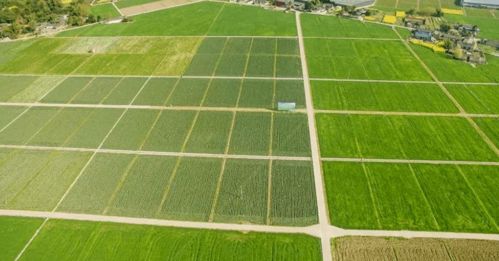 耕地利用知多少 自家耕地建房、建養(yǎng)殖場(chǎng)的法律邊界與設(shè)施農(nóng)業(yè)經(jīng)營(yíng)指引